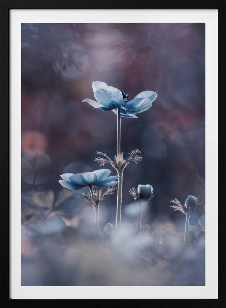 The beginning of a new era | Poster