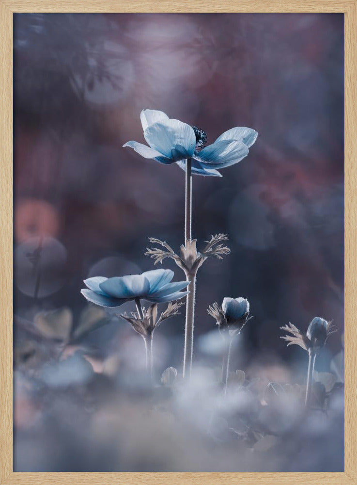 The beginning of a new era | Poster