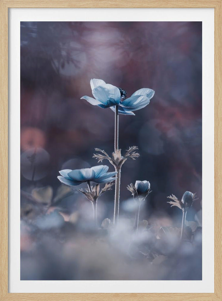 The beginning of a new era | Poster