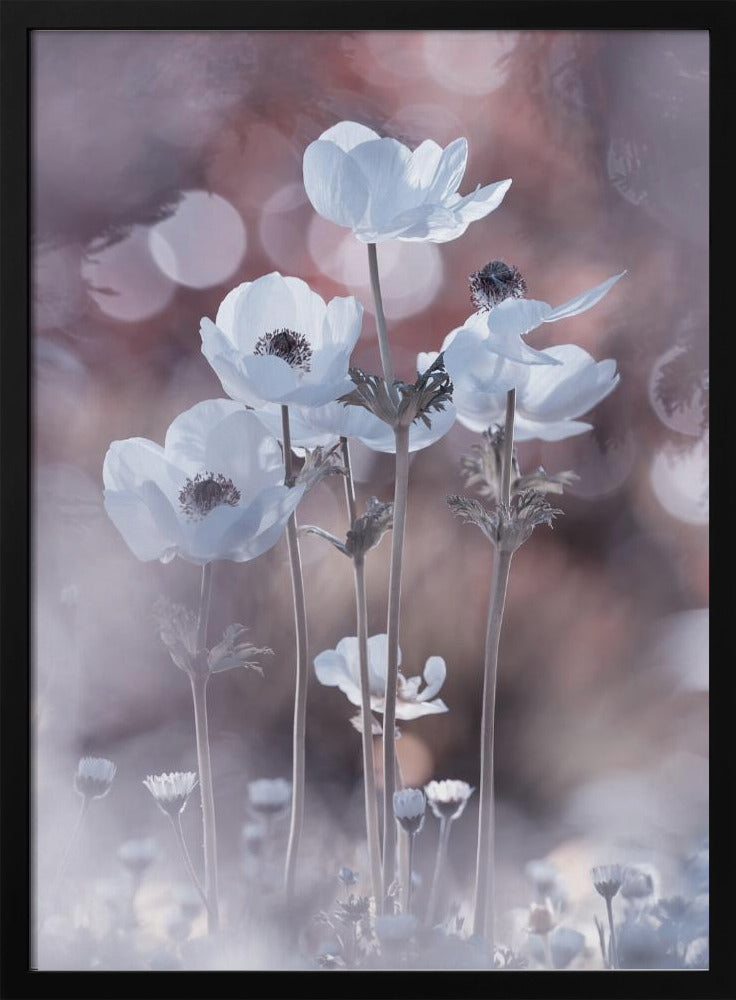 All the flowers of all the tomorrows are in the seeds of today | Poster
