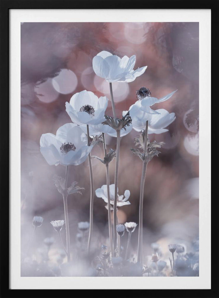 All the flowers of all the tomorrows are in the seeds of today | Poster