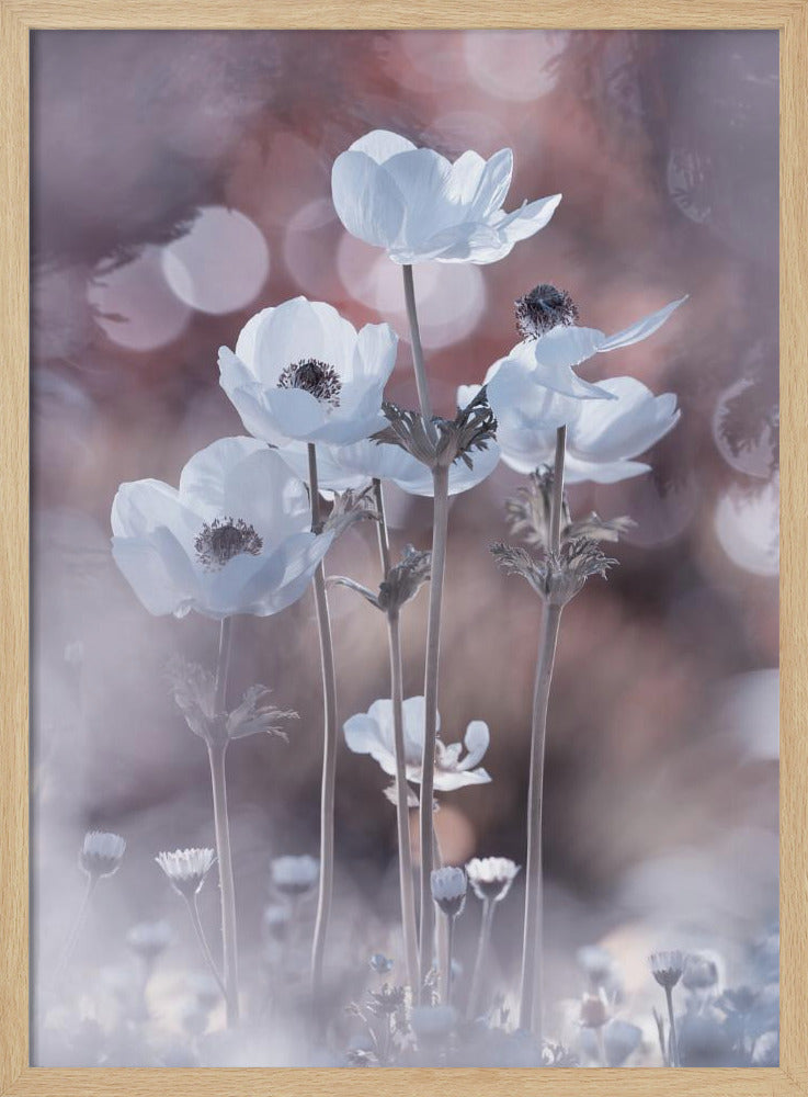 All the flowers of all the tomorrows are in the seeds of today | Poster