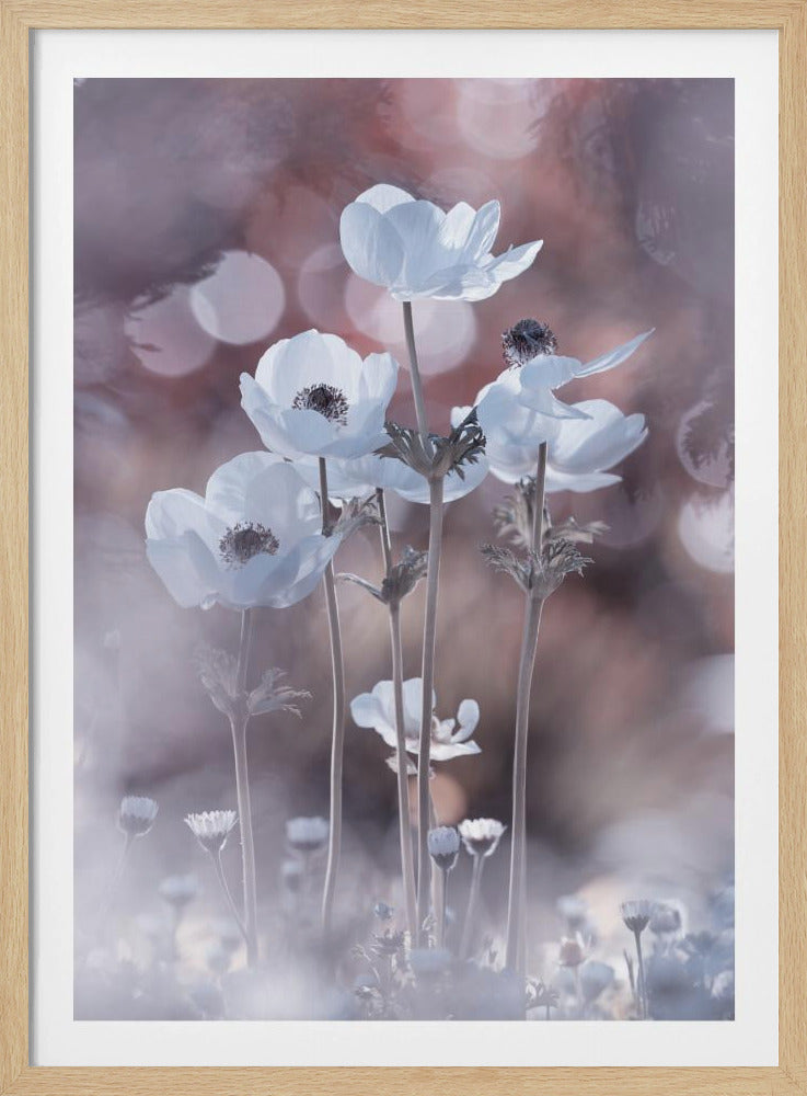 All the flowers of all the tomorrows are in the seeds of today | Poster