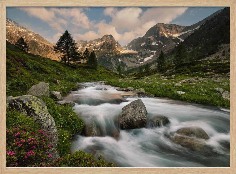 Maritime Alps Park | Poster