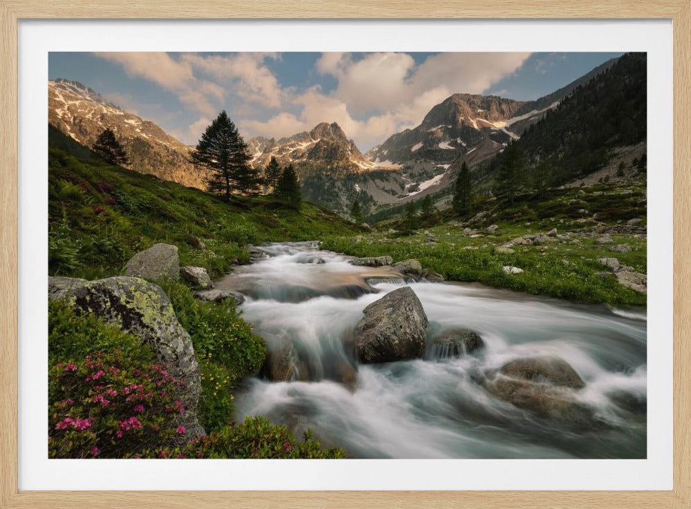 Maritime Alps Park | Poster