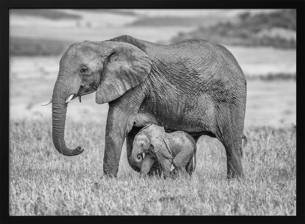 Staying close and protected | Poster