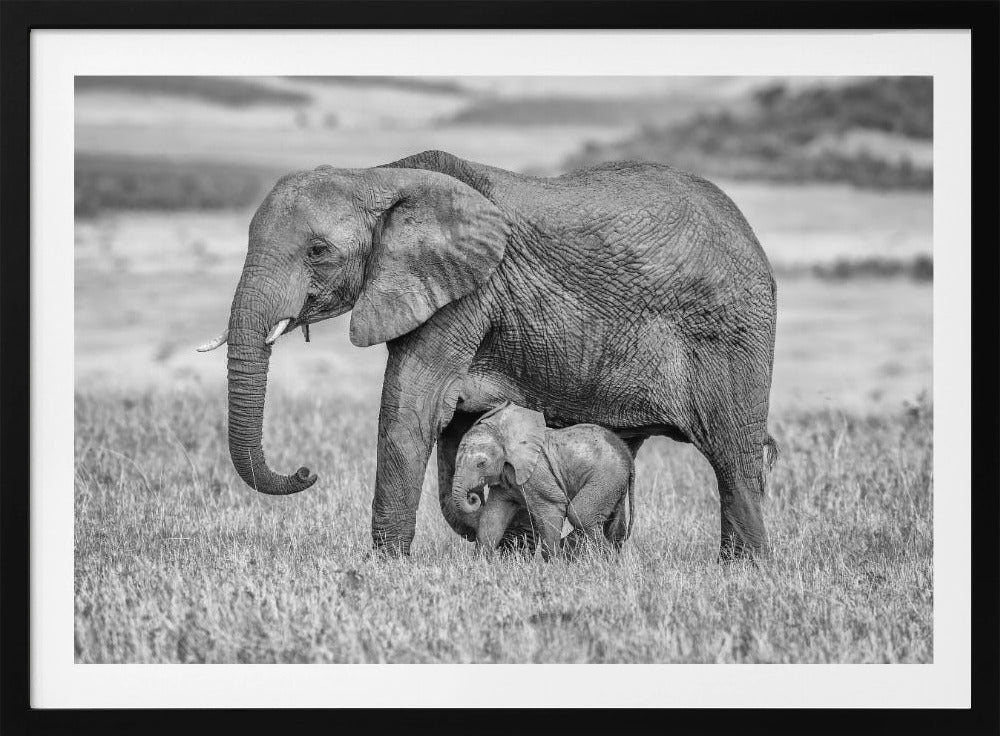 Staying close and protected | Poster