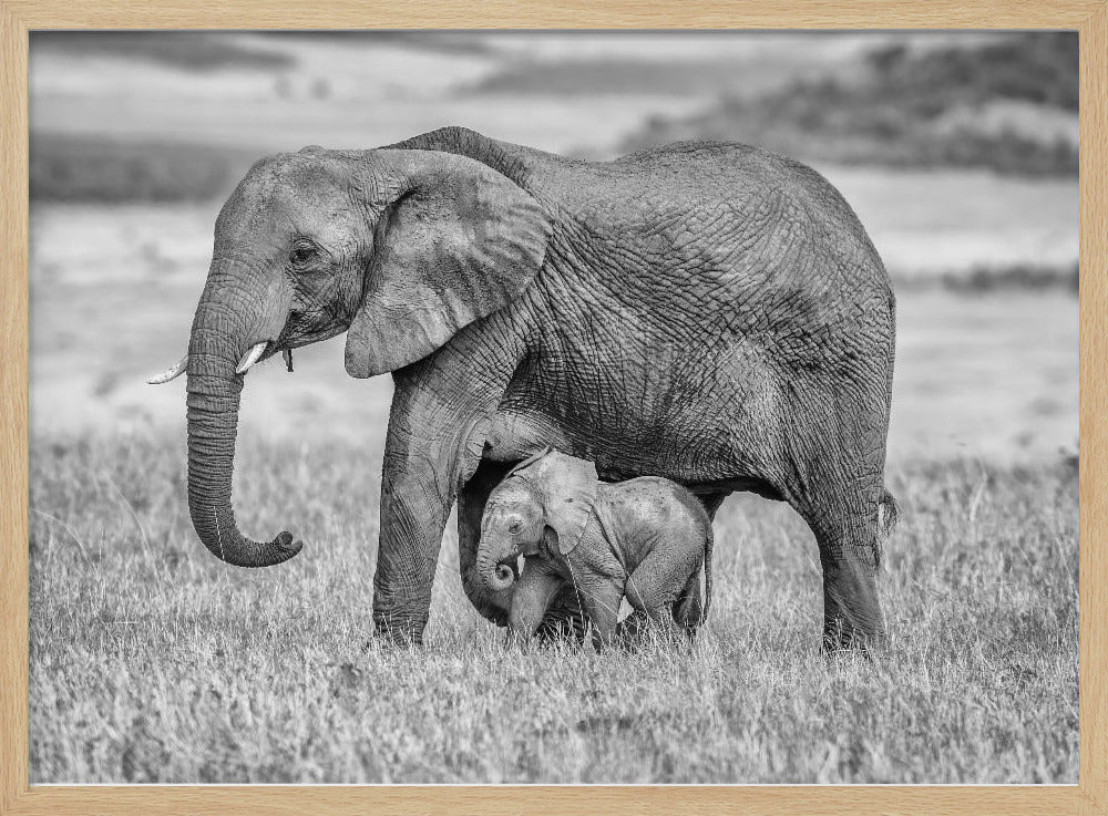 Staying close and protected | Poster