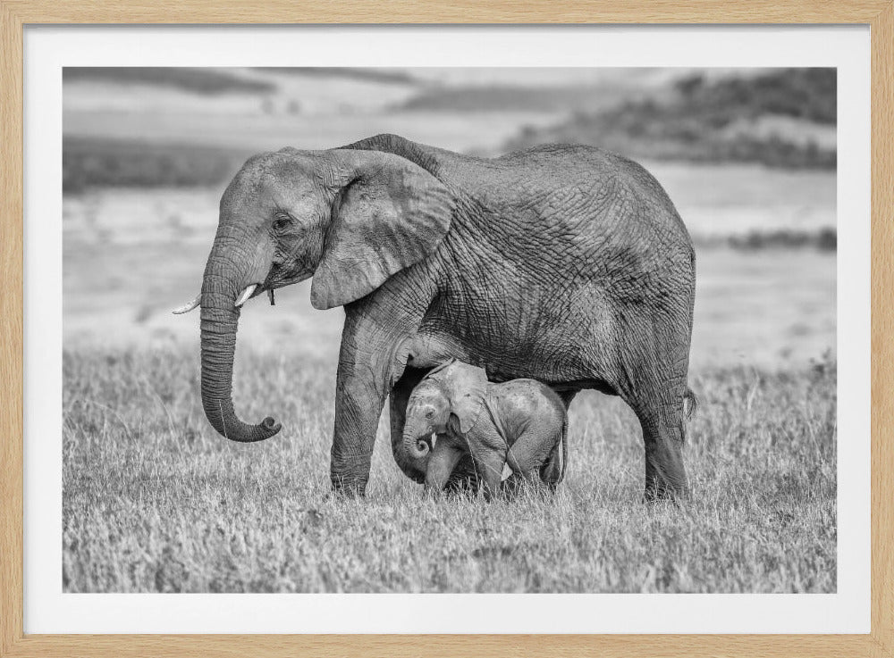 Staying close and protected | Poster