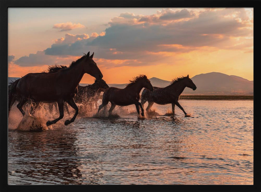 WATER HORSES | Poster