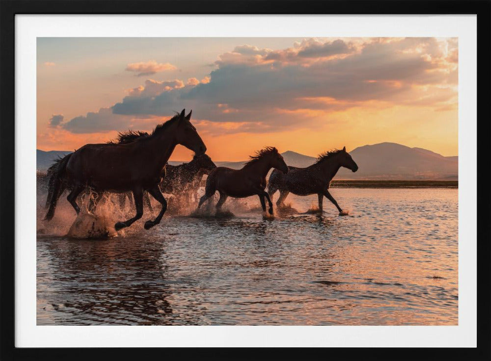 WATER HORSES | Poster