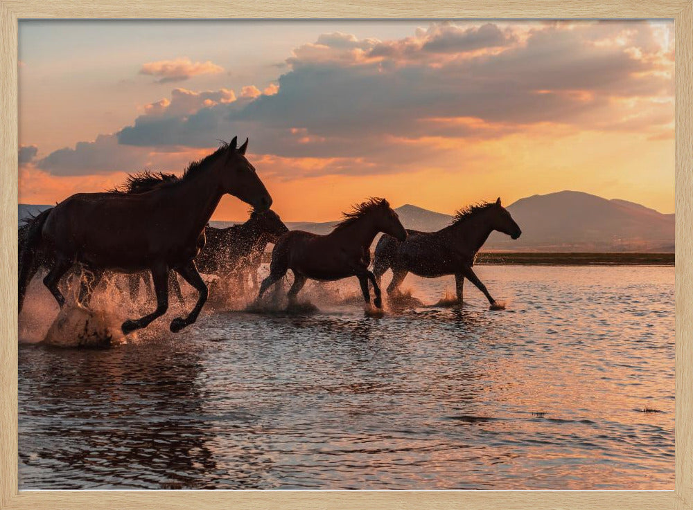WATER HORSES | Poster