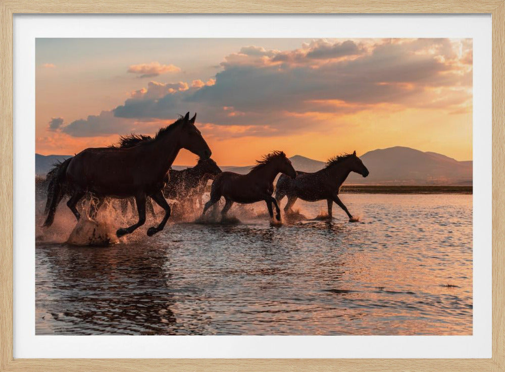 WATER HORSES | Poster