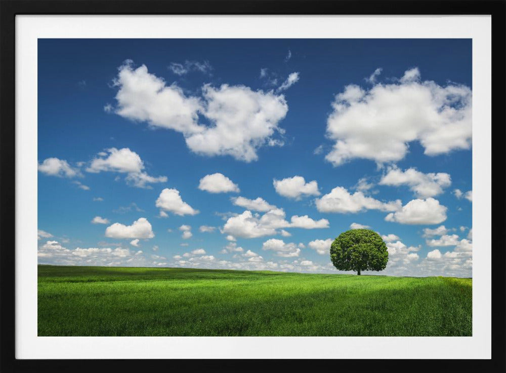 Lonely Tree | Poster