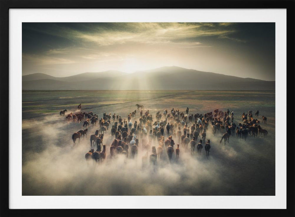 Wild Horses | Poster