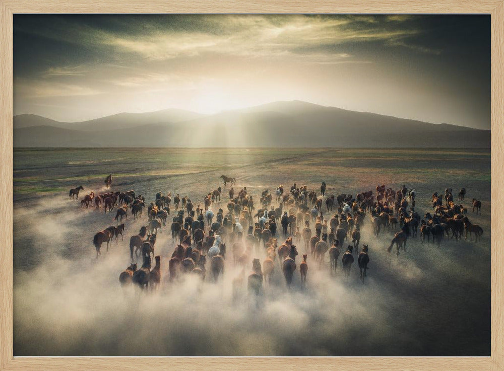 Wild Horses | Poster