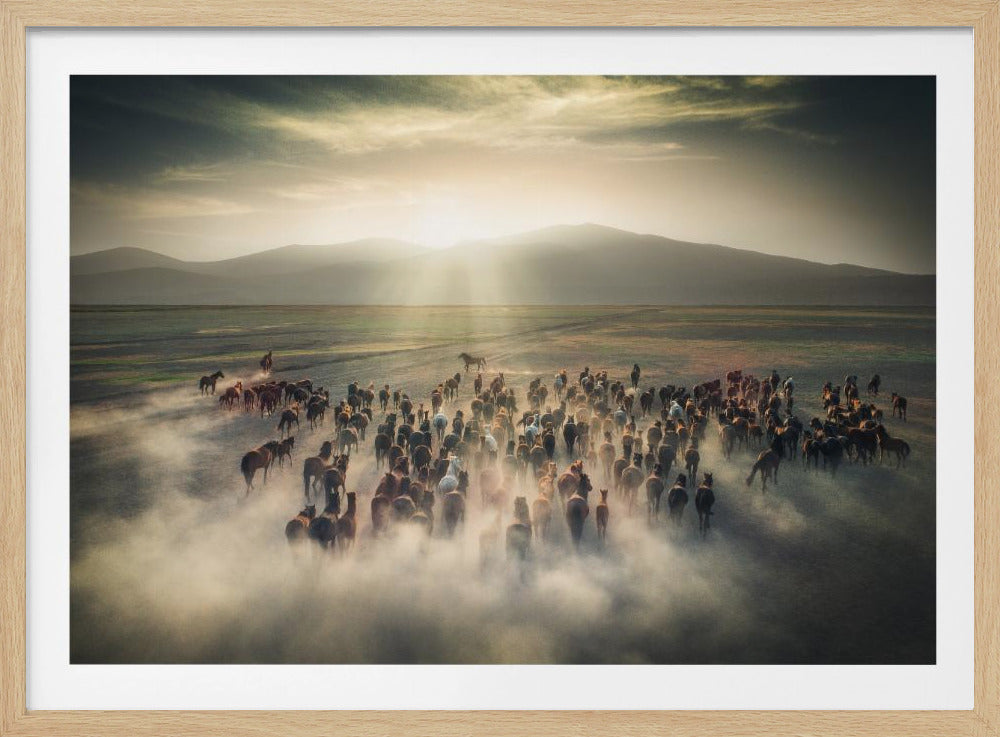 Wild Horses | Poster