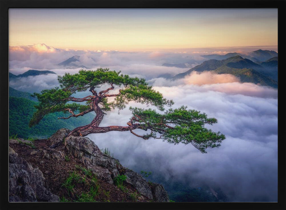 On the rock | Poster