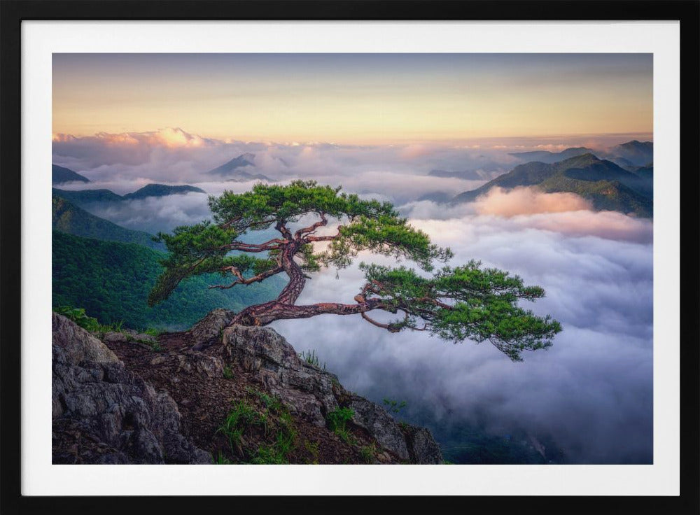 On the rock | Poster