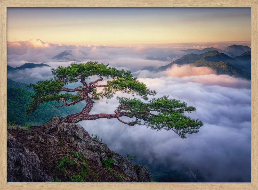 On the rock | Poster