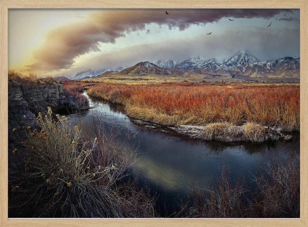 Owens River at Sunrise | Poster