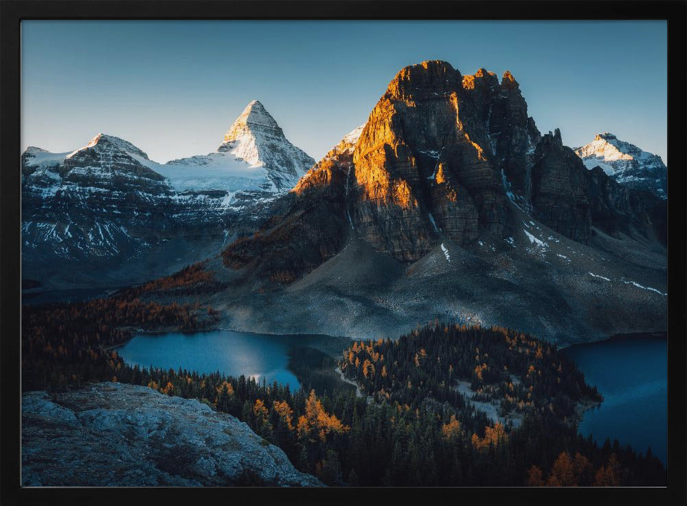 Morning Sunlight | Poster