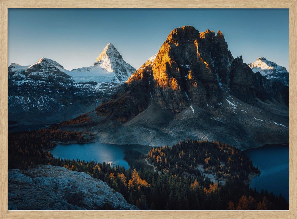 Morning Sunlight | Poster