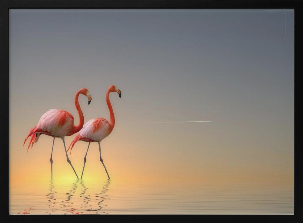 Serenity II | Poster