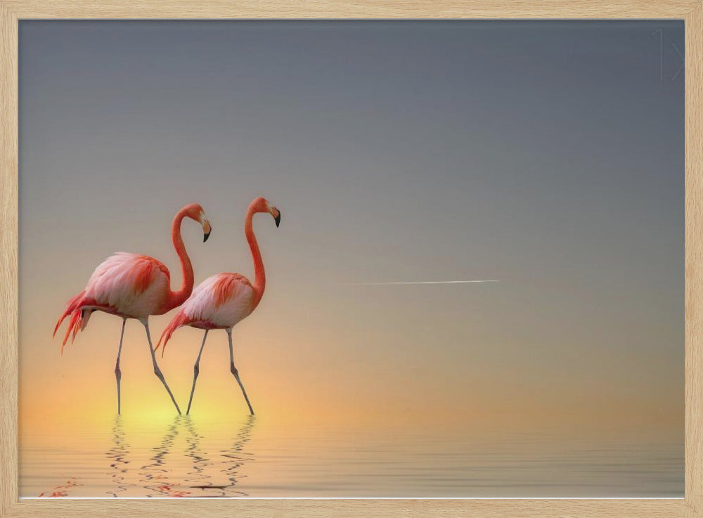 Serenity II | Poster