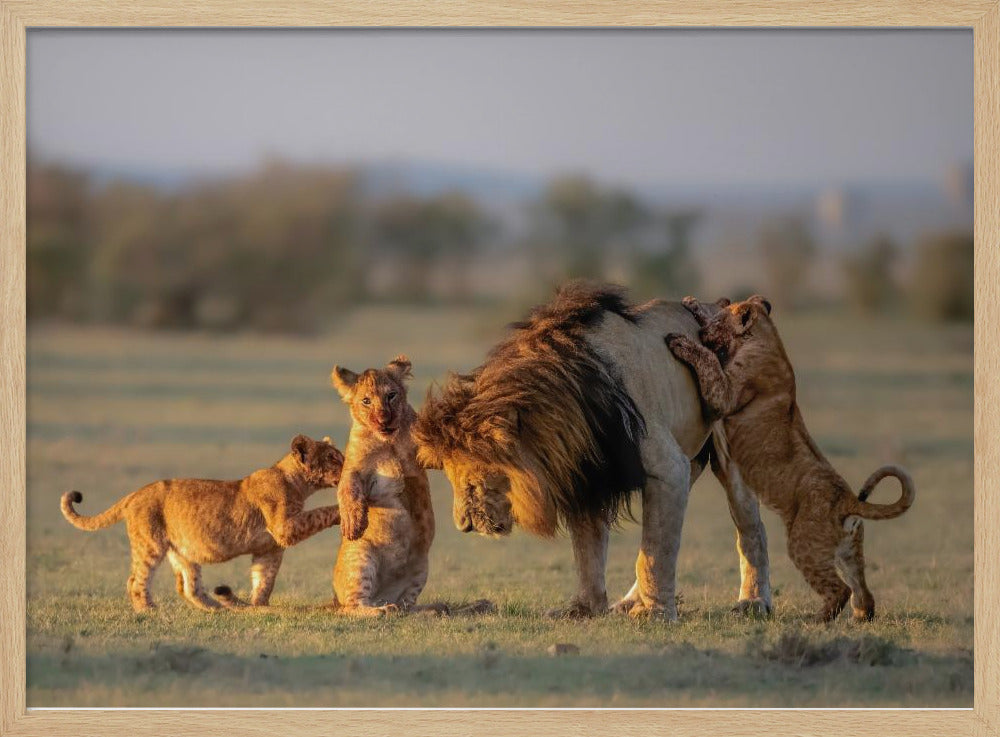 Dad and kids | Poster