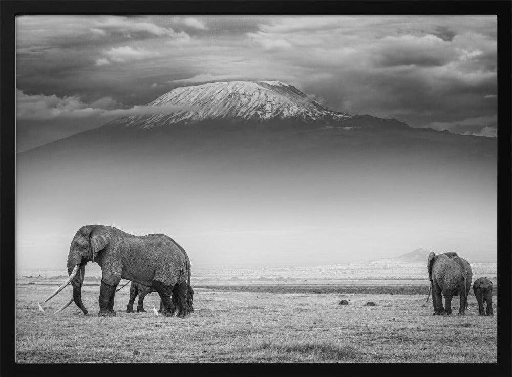 The land of giants | Poster