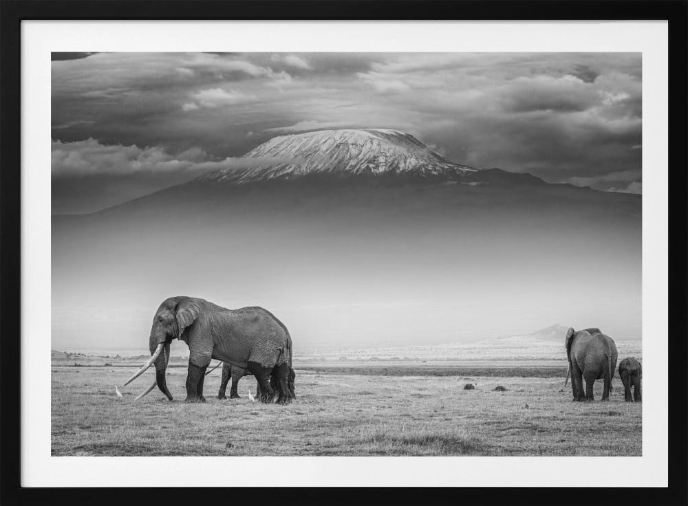 The land of giants | Poster