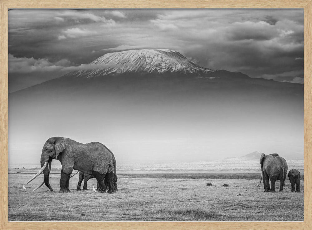 The land of giants | Poster