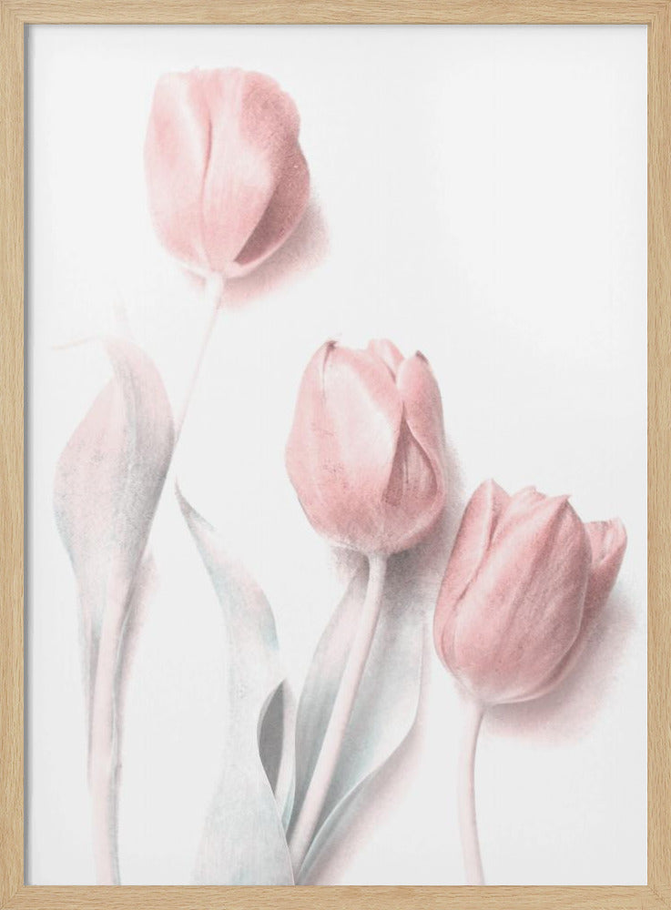 Sweet Pink | Poster