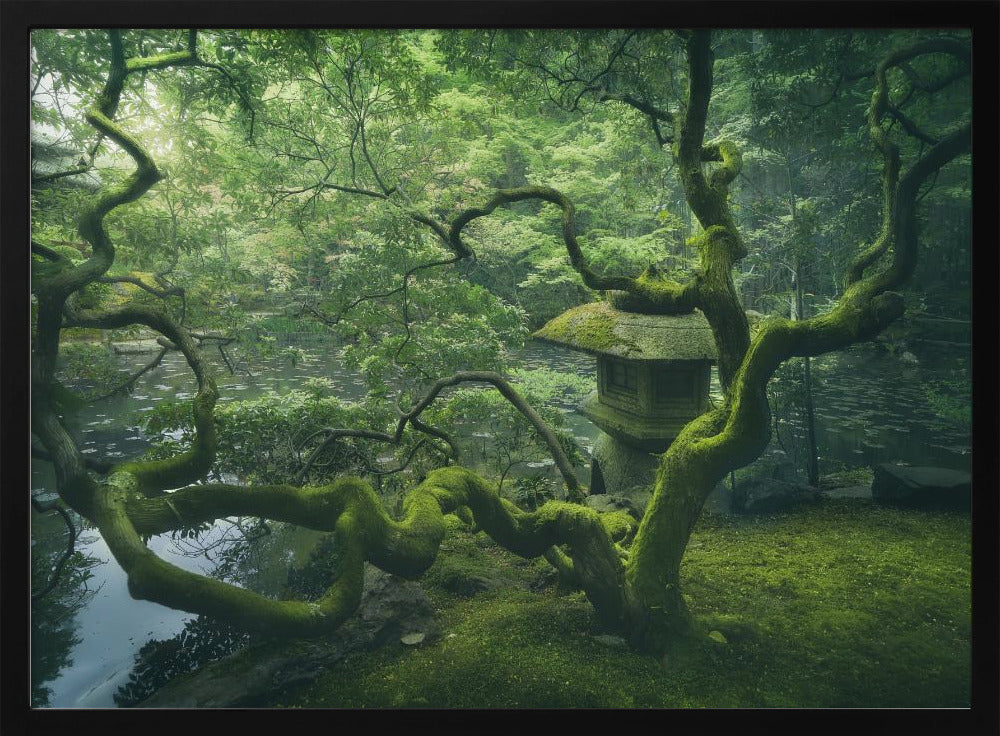 Japanese Tree | Poster
