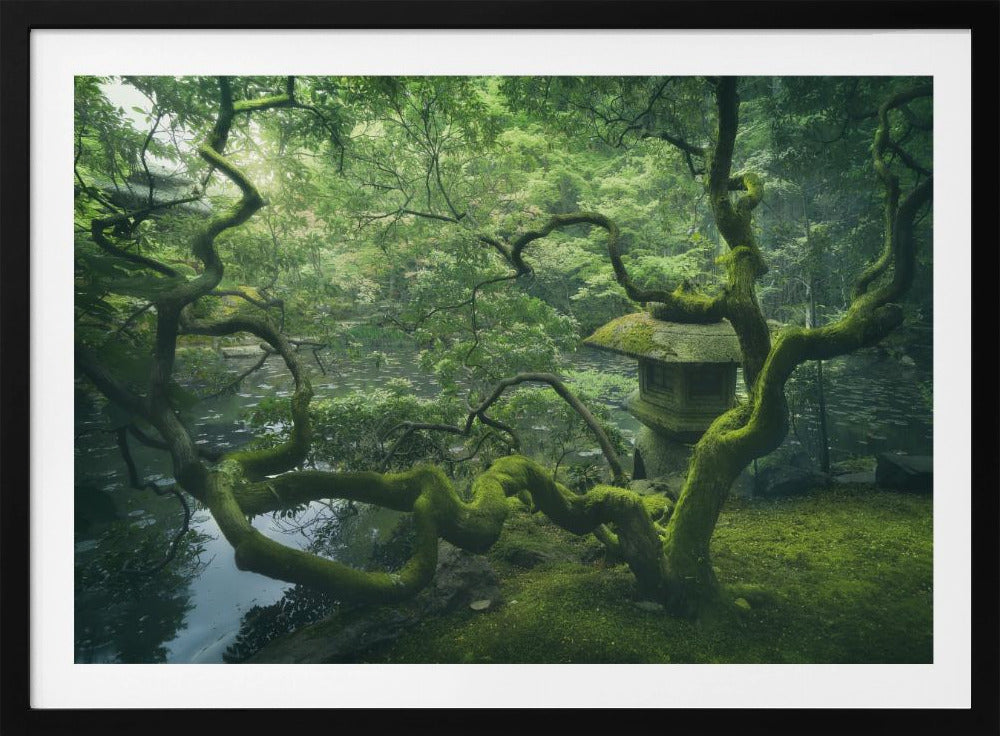 Japanese Tree | Poster