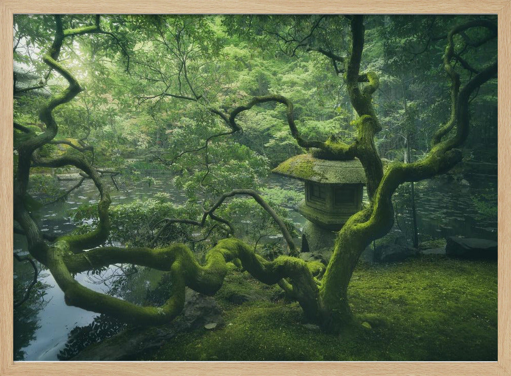 Japanese Tree | Poster