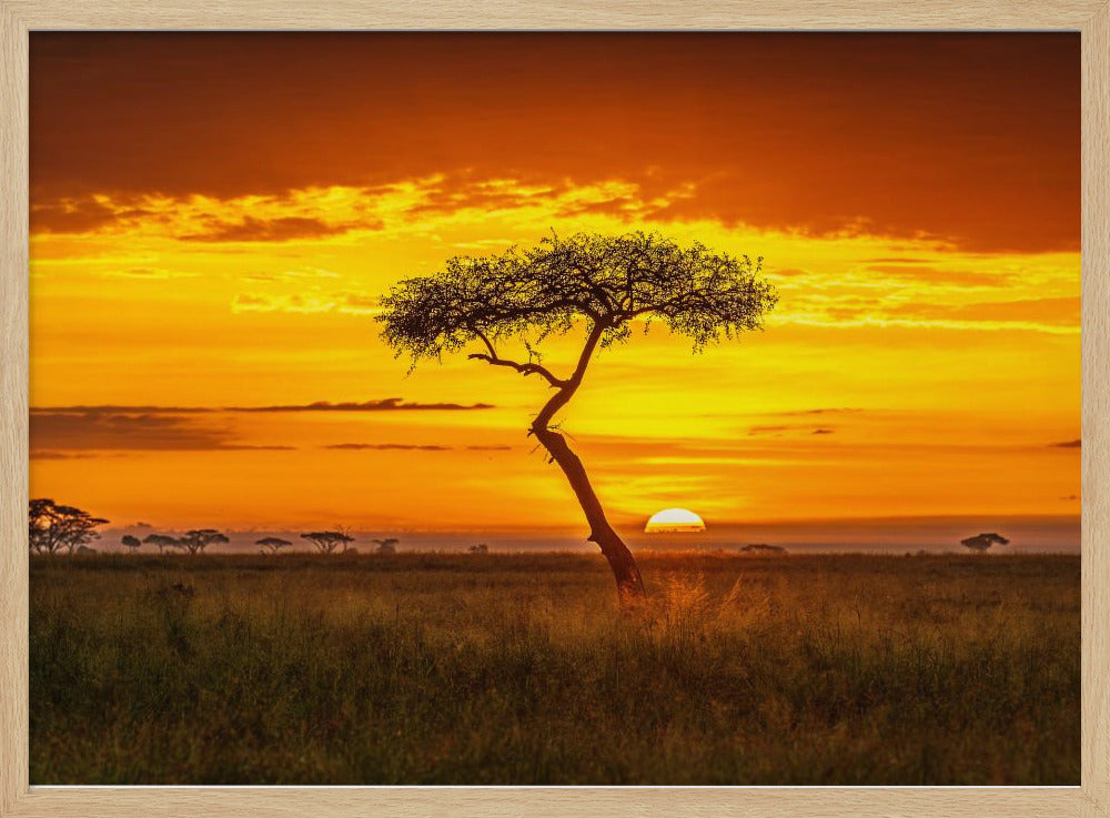 Primordial Africa | Poster