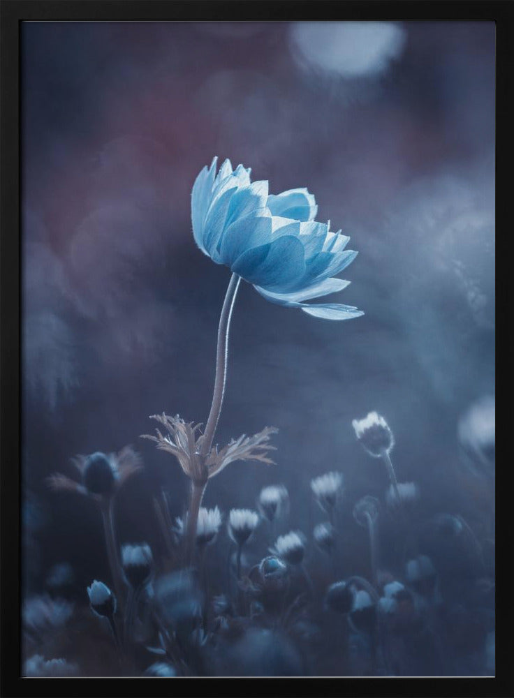 A short story of flower | Poster