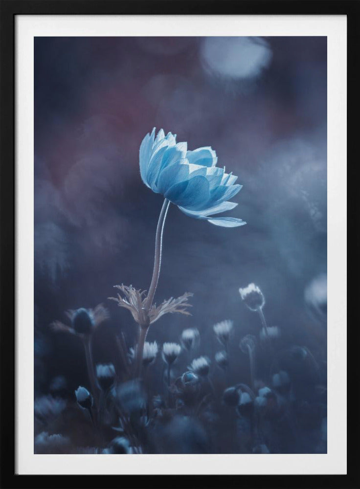 A short story of flower | Poster