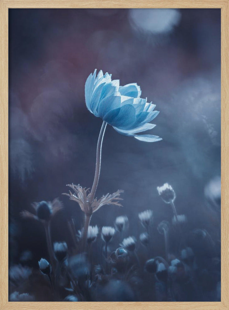 A short story of flower | Poster