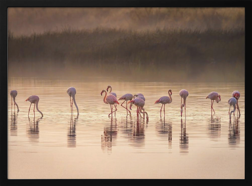 Photographic ode to Monet | Poster