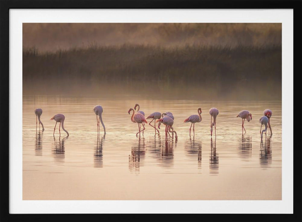 Photographic ode to Monet | Poster