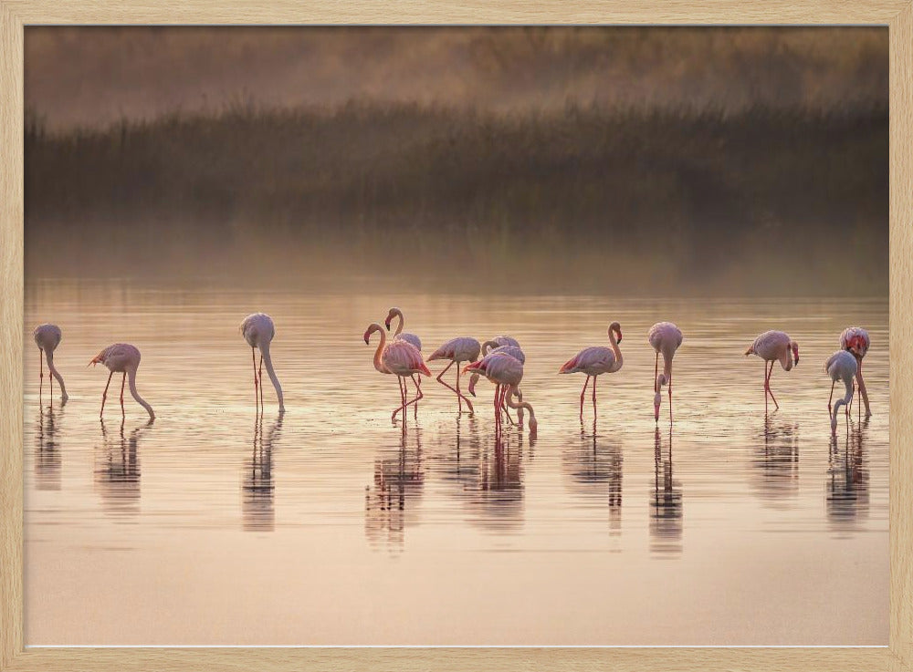 Photographic ode to Monet | Poster