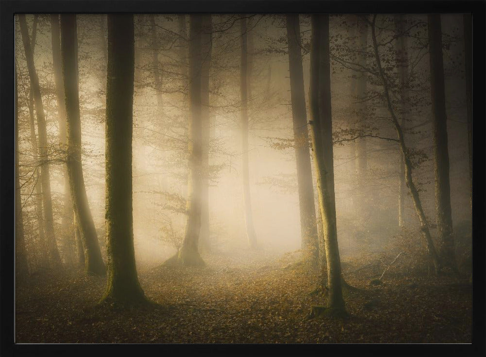 November Whispers | Poster