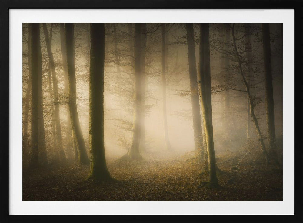 November Whispers | Poster