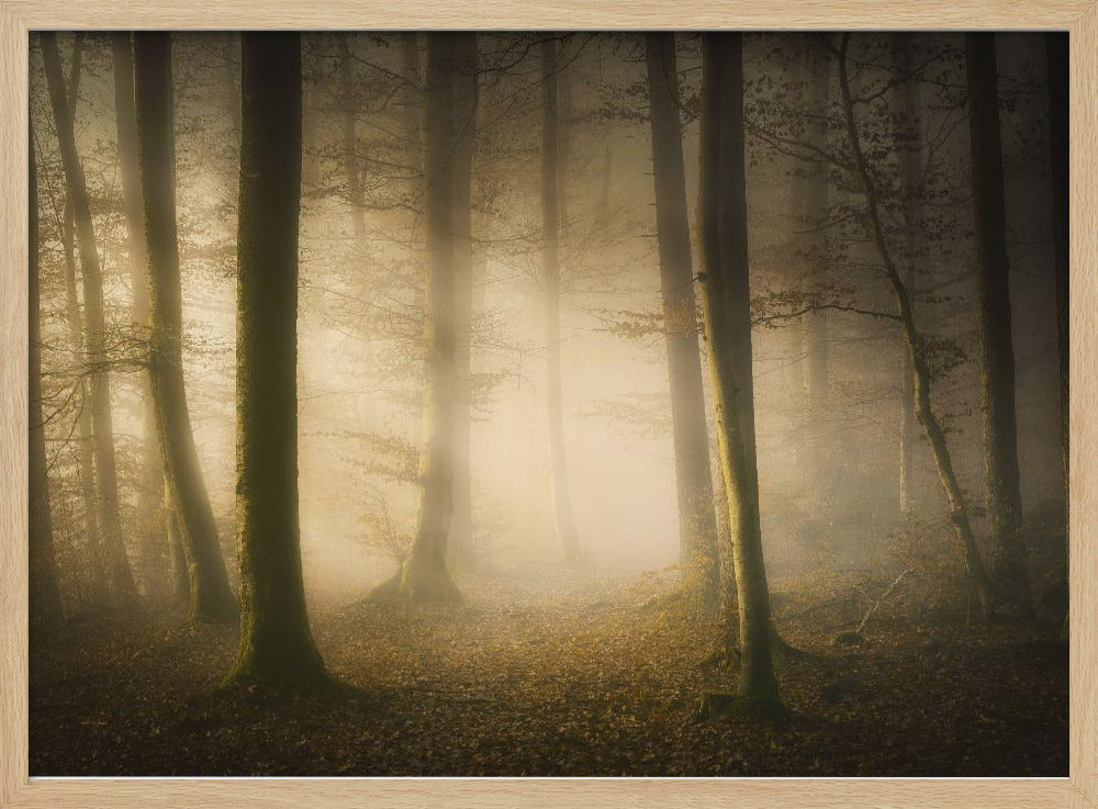 November Whispers | Poster