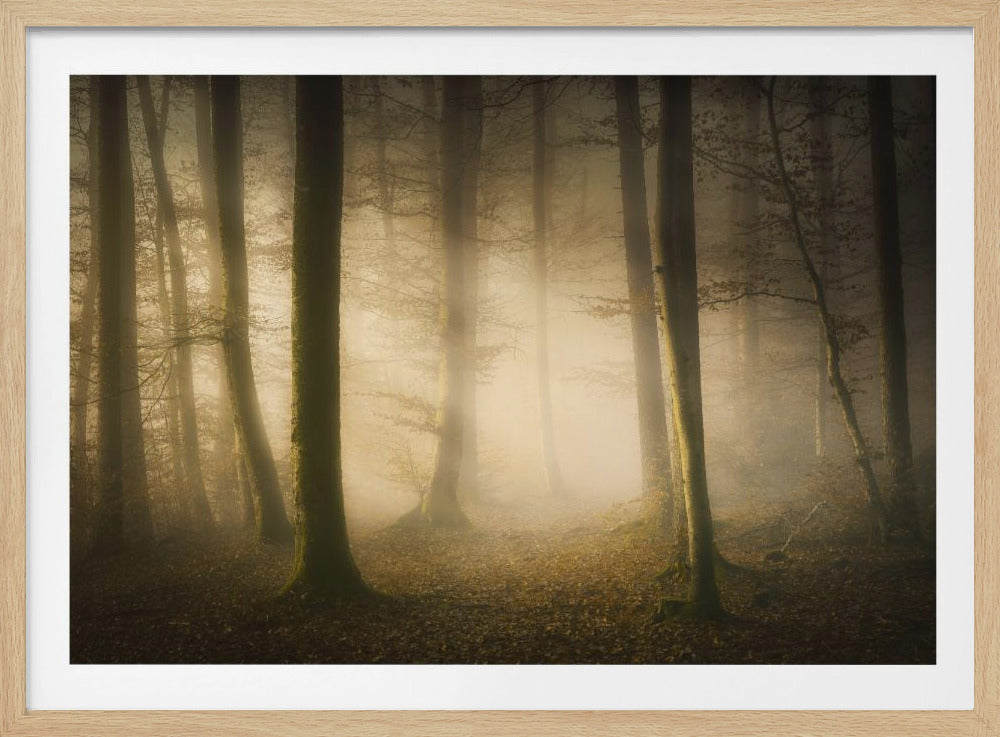 November Whispers | Poster