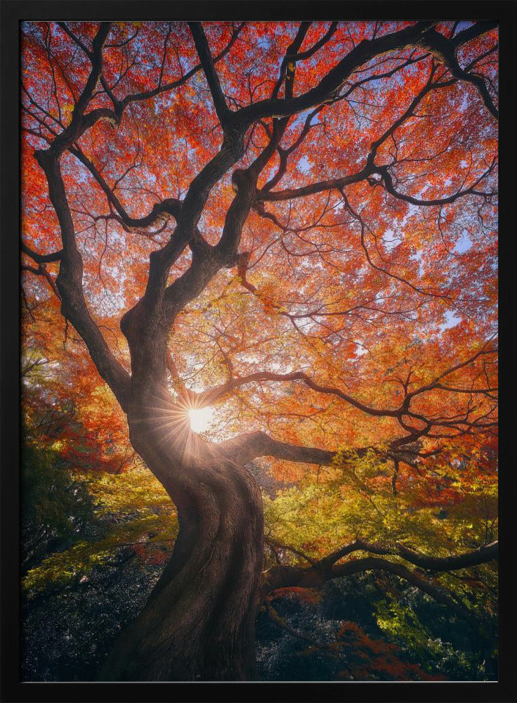 The Japanese Tree | Poster