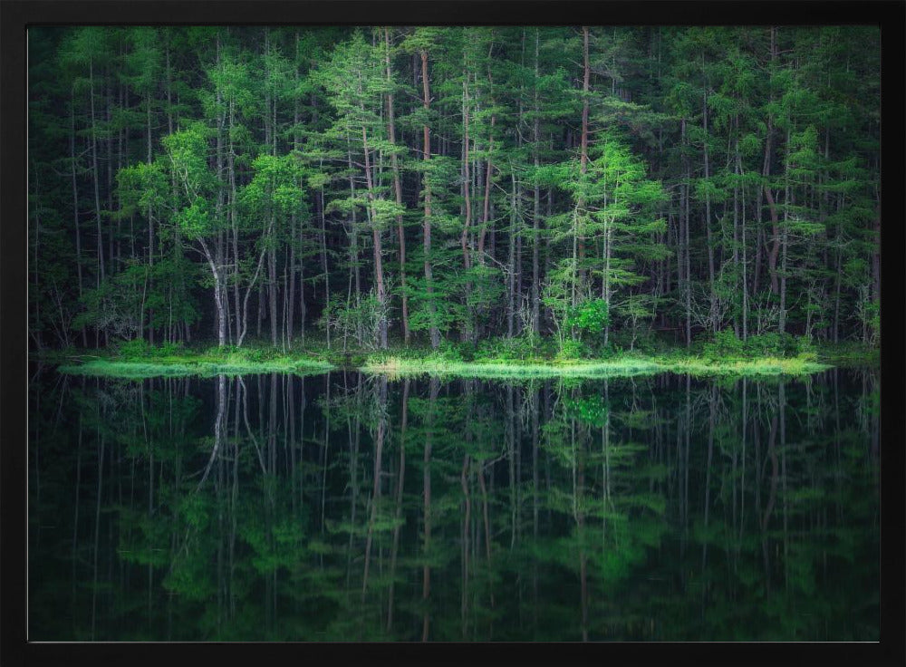 Green World | Poster